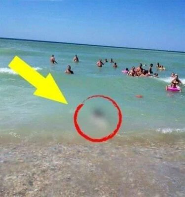 Tourists couldn’t believe their eyes! — STORIES